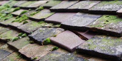 Beedon roof repair costs